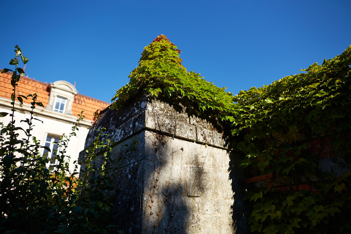 The water well